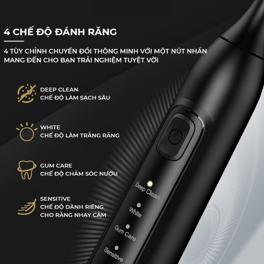Bàn Chải Điện Modeco Y05